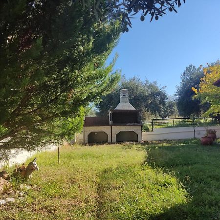 Vila Billias House Vourvourou Exteriér fotografie
